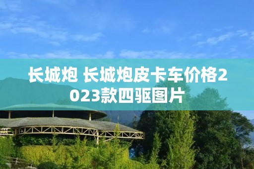 长城炮 长城炮皮卡车价格2023款四驱图片
