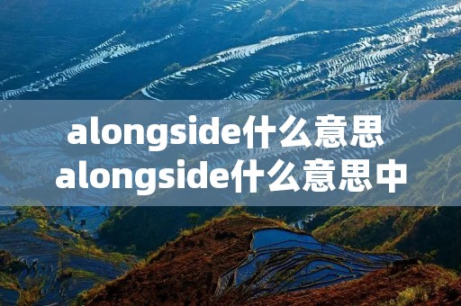 alongside什么意思 alongside什么意思中文翻译 alongside什么意思 alongside什么意思中文翻译