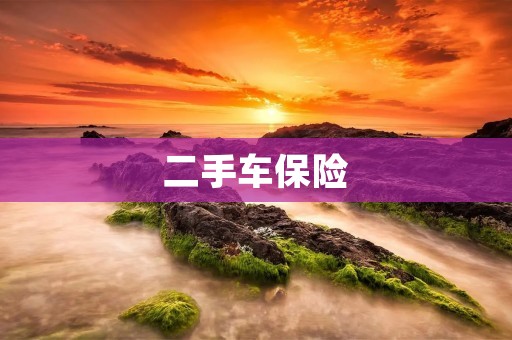 二手车保险：如何购买保险保障您的二手车