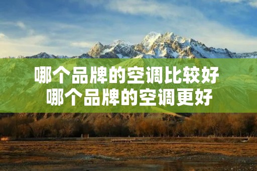 哪个品牌的空调比较好 哪个品牌的空调更好