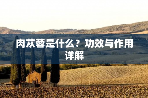 肉苁蓉是什么?功效与作用详解