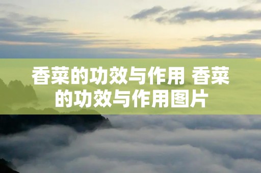 香菜的功效与作用 香菜的功效与作用图片