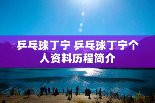 乒乓球丁宁 乒乓球丁宁个人资料历程简介