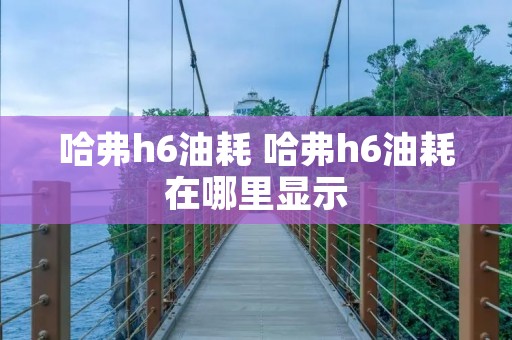 哈弗h6油耗 哈弗h6油耗在哪里显示