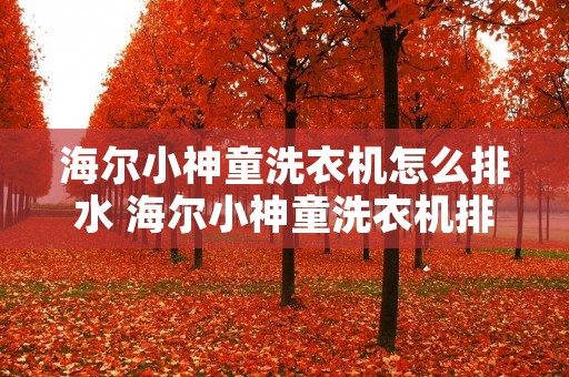 海尔小神童洗衣机怎么排水 海尔小神童洗衣机排水管
