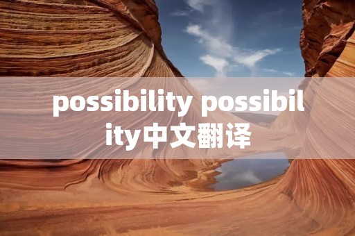 possibility possibility中文翻译