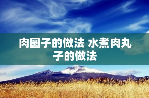 肉圆子的做法 水煮肉丸子的做法