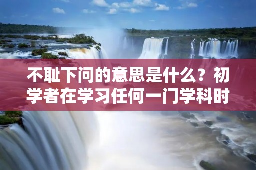 不耻下问的意思是什么?初学者在学习任何一门学科时,都会遇到一些不理解的概念和问题。有些人会选择默默地自己去解决这些问题,但是另一些人则会积极地寻求帮助,不耻下问。不耻下问的意思是,不要因为自己的无知而感到羞耻,而是要勇于向他人请教,以便更好地学习和成长。