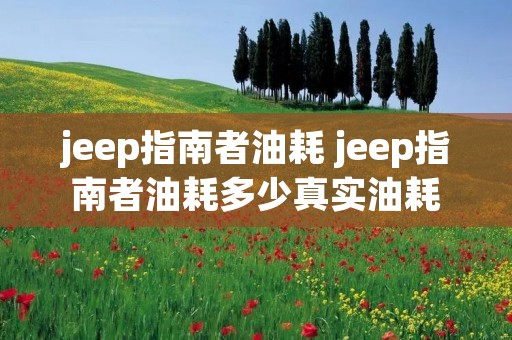 jeep指南者油耗 jeep指南者油耗多少真实油耗