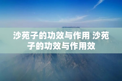 沙苑子的功效与作用 沙苑子的功效与作用效