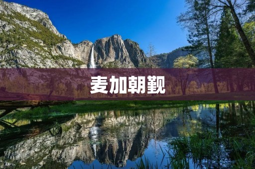 麦加朝觐:信仰与虔诚的体现