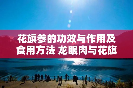 花旗参的功效与作用及食用方法 龙眼肉与花旗参的功效与作用及食用方法