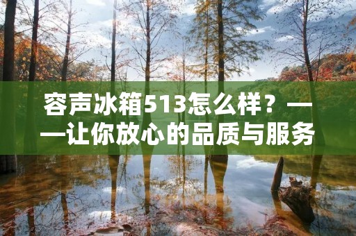 容声冰箱513怎么样?——让你放心的品质与服务 容声冰箱513怎么样?——让你放心的品质与服务