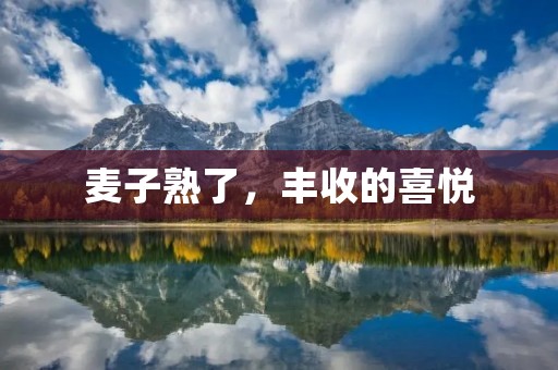 麦子熟了，丰收的喜悦