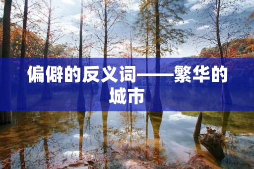 偏僻的反义词——繁华的城市