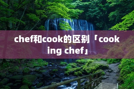 chef和cook的区别「cooking chef」
