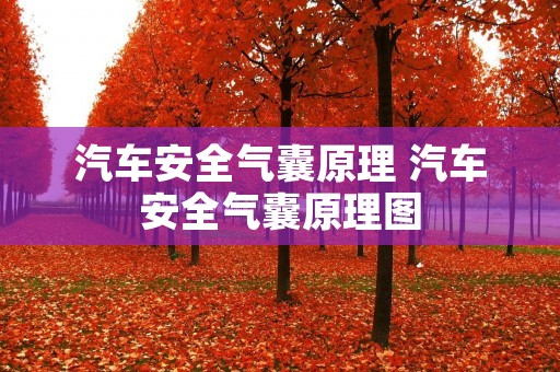 汽车安全气囊原理 汽车安全气囊原理图 汽车安全气囊原理 汽车安全气囊原理图