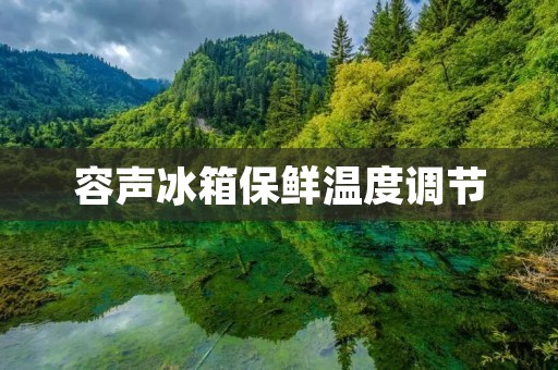 容声冰箱保鲜温度调节：让你的食材保持新鲜