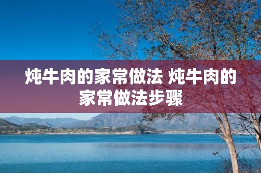 炖牛肉的家常做法 炖牛肉的家常做法步骤