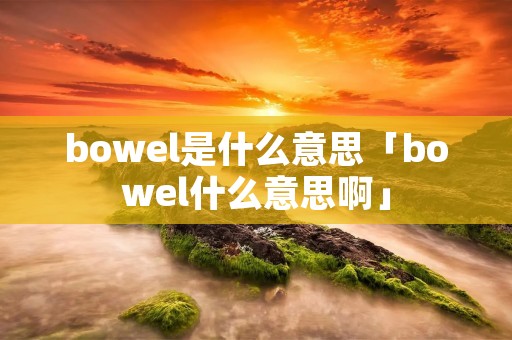 bowel是什么意思「bowel什么意思啊」 bowel是什么意思「bowel什么意思啊」