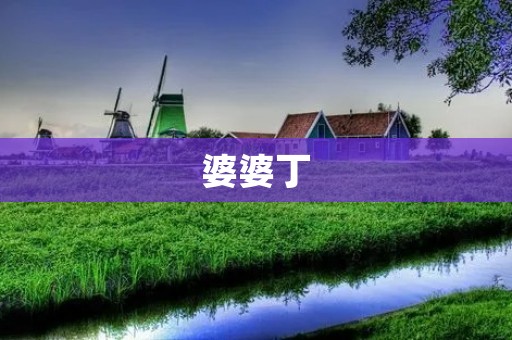 婆婆丁:神奇的中草药