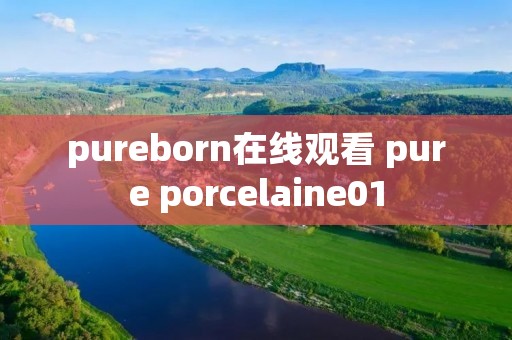 pureborn在线观看 pure porcelaine01