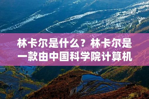 林卡尔是什么?林卡尔是一款由中国科学院计算机网络信息中心研发的分布式云存储系统。它采用了多种技术手段,包括Erasure Coding、P2P网络传输、数据加密等,具有高可用性、高性能、高安全性的特点。林卡尔系统可以为用户提供可靠、高效、安全的云存储服务,是当前国内云存储领域的重要代表之一。