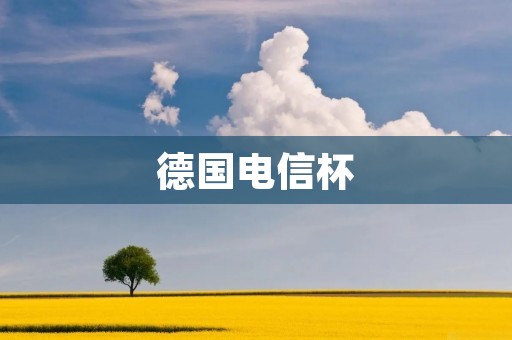 德国电信杯:一场足球盛宴 德国电信杯:一场足球盛宴