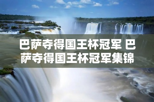 巴萨夺得国王杯冠军 巴萨夺得国王杯冠军集锦
