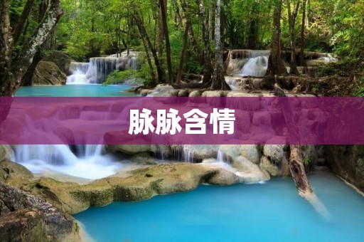 脉脉含情：职场社交新风尚