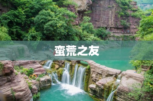 蛮荒之友：探究人与自然的和谐共生