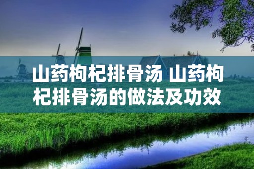 山药枸杞排骨汤 山药枸杞排骨汤的做法及功效