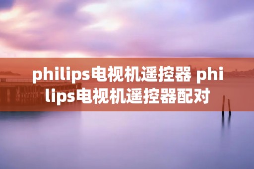 philips电视机遥控器 philips电视机遥控器配对 philips电视机遥控器 philips电视机遥控器配对