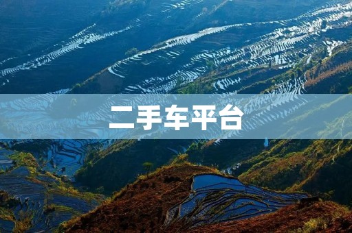 二手车平台:打破传统购车方式,让购车更便捷 二手车平台:打破传统购车方式,让购车更便捷