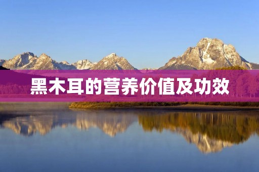 黑木耳的营养价值及功效