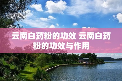 云南白药粉的功效 云南白药粉的功效与作用