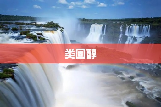 类固醇:药物中的双刃剑