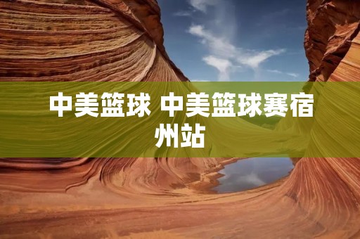 中美篮球 中美篮球赛宿州站