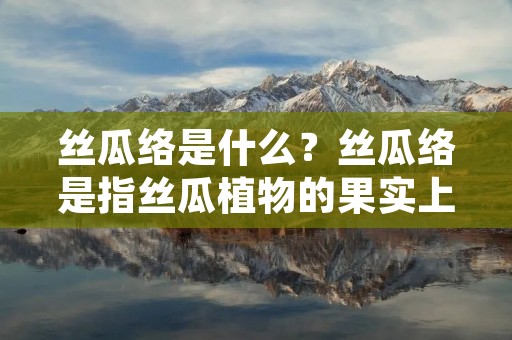 丝瓜络是什么?丝瓜络是指丝瓜植物的果实上所附着的细长、柔软的藤蔓。它通常是被人们丢弃的部分,但实际上,丝瓜络在中医和食疗方面有着广泛应用和价值。