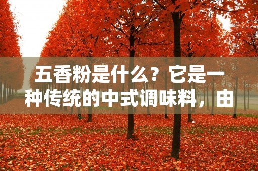 五香粉是什么?它是一种传统的中式调味料,由五种或以上的香料混合而成。五香粉的配方因地域和个人口味而异,但通常包括桂皮、八角、茴香、花椒和丁香等香料。五香粉在中式烹饪中经常使用,可用于烤肉、炖肉、炒菜和煮汤等菜肴,为食物增添香气和味道。