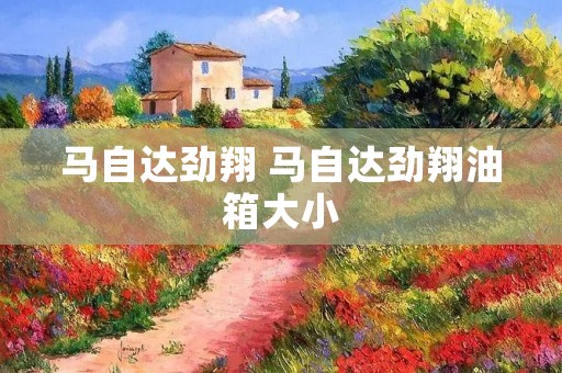马自达劲翔 马自达劲翔油箱大小