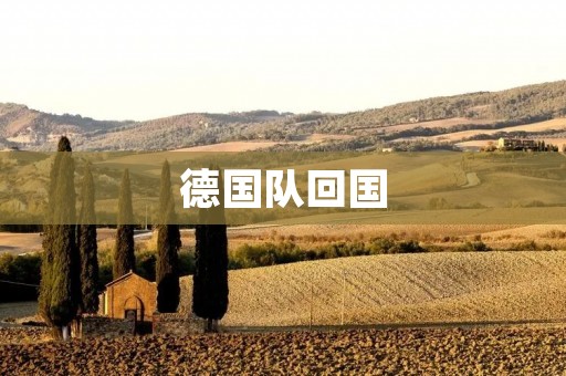 德国队回国:世界杯惨败的反思与未来展望 德国队回国:世界杯惨败的反思与未来展望