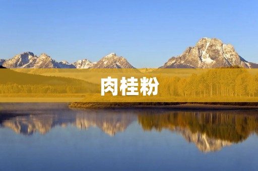肉桂粉:一种美食调味品