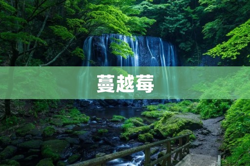 蔓越莓:美味与健康的完美结合