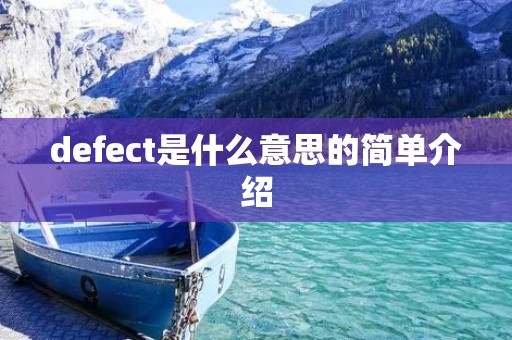defect是什么意思的简单介绍 defect是什么意思的简单介绍