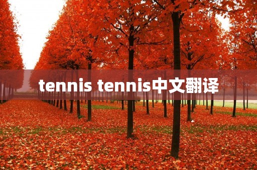 tennis tennis中文翻译