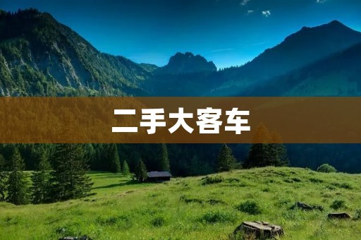 二手大客车:如何选择和购买? 二手大客车:如何选择和购买?