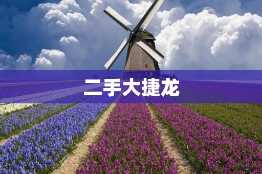 二手大捷龙:品质与性价比并存的最佳选择 二手大捷龙:品质与性价比并存的最佳选择