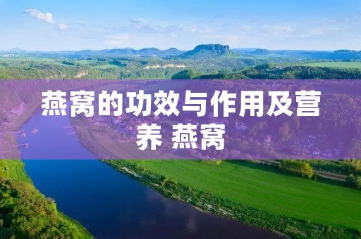 燕窝的功效与作用及营养 燕窝