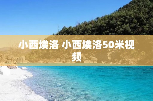 小西埃洛 小西埃洛50米视频